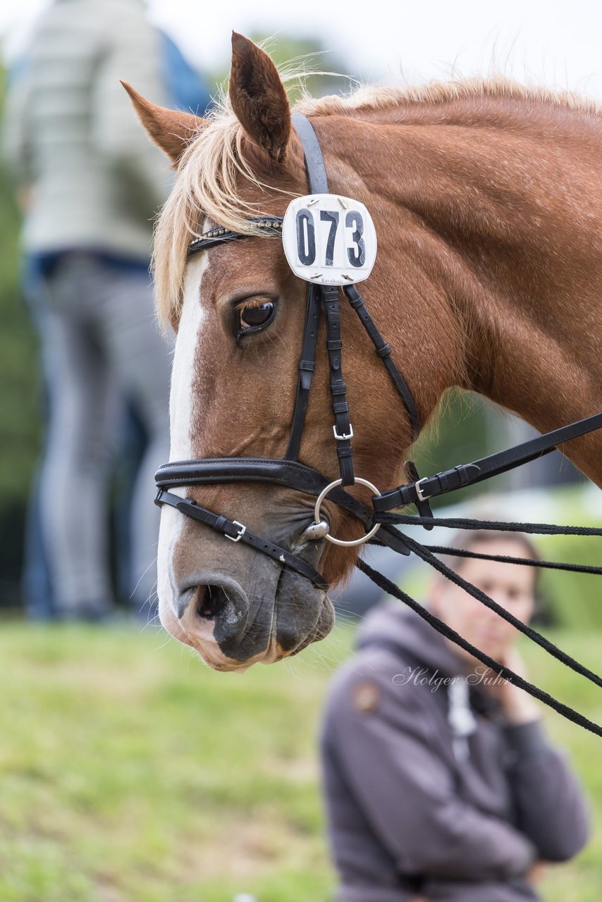 Bild 197 - Pony Akademie Turnier